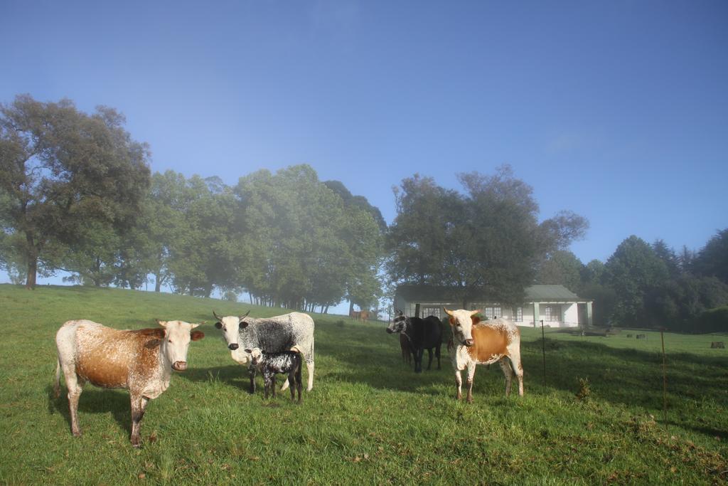 Beverley Country Bauernhof